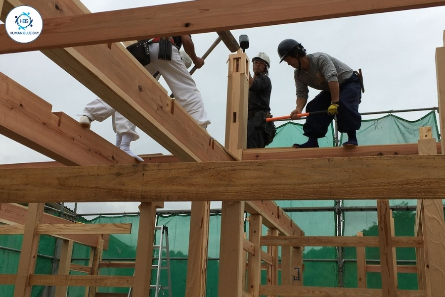 humanbluesky, hbs, xuất khẩu lao động Nhật Bản