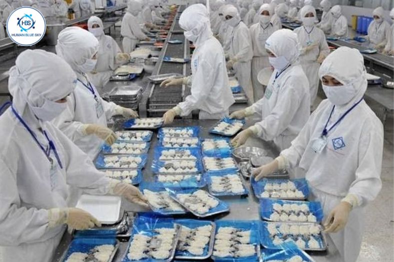 human blue sky, hbs, xuất khẩu lao động nhật bản