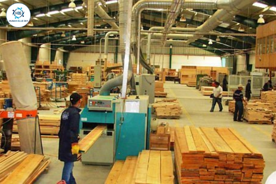 humanbluesky, hbs, xuất khẩu lao động 