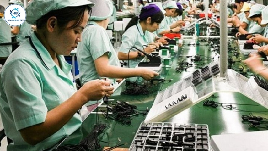 đơn hàng lắp ráp linh kiện điện tử , human blue sky, hbs, xuất khẩu lao động