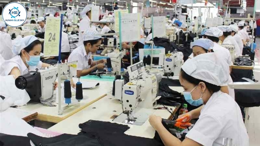 đơn hàng may mặc, human blue sky, hbs, xuất khẩu lao động