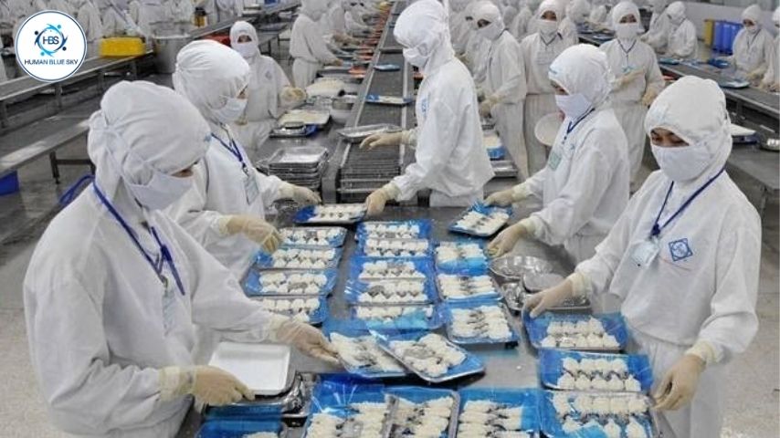  human blue sky, hbs, xuất khẩu lao động nhật bản