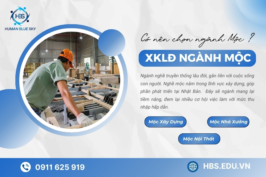 human blue sky, xuất khẩu lao động ngành mộc, xuất khẩu lao động nhật bản